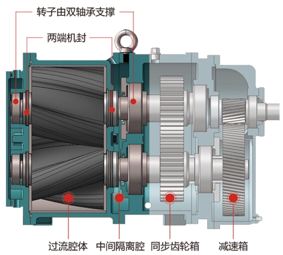 轉子泵雙支撐軸設計